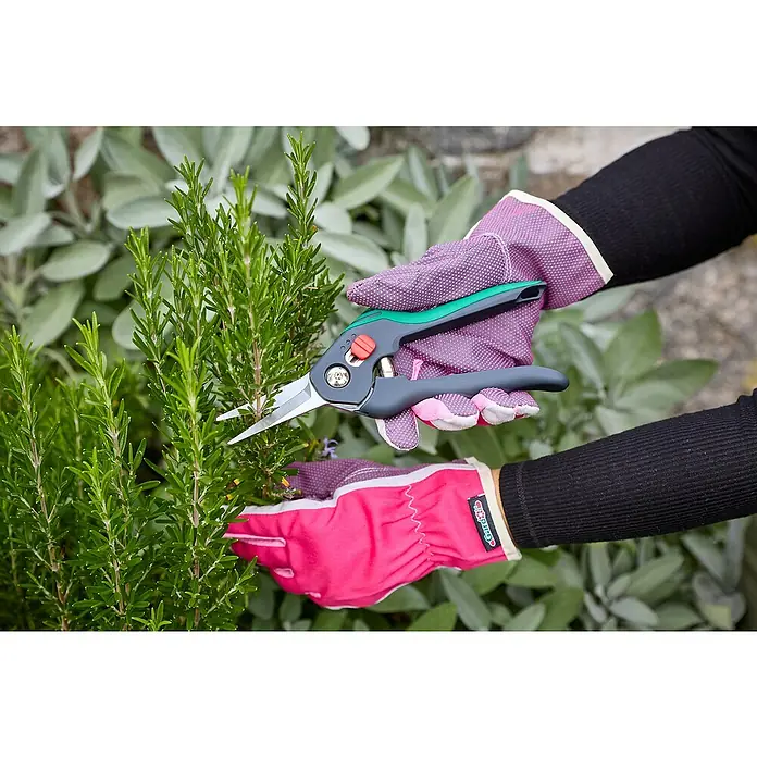 Gardol Comfort Trimmschere GDB12 - Bypass, Max. Aststärke: 12 mm - Gartenschere in Aktion: Detailaufnahme beim Beschneiden eines grünen Rosmarinstrauchs im Garten, Handschuhe schützen die Hände.