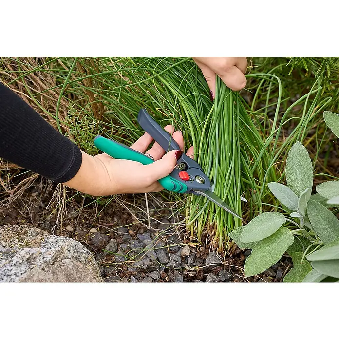 Gardol Comfort Trimmschere GDB12 - Bypass, Max. Aststärke: 12 mm - Eine Nahaufnahme zeigt eine Person, die mit einer grünen Gartenschere frischen Schnittlauch schneidet. Die Kräuter wachsen üppig im Garten.