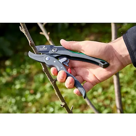 Gardol Premium Gartenschere GDA20R