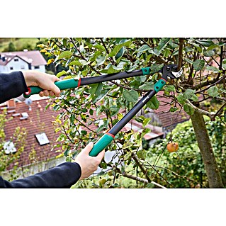 Gardol Classic Astschere GDA33 (Amboss, Max. Aststärke: 33 mm)