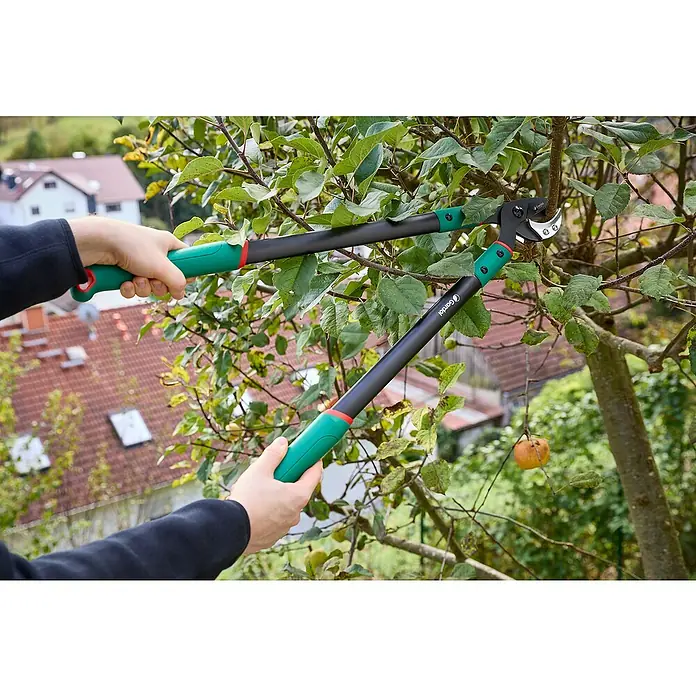 Gardol Classic Astschere GDA33 - Max. Aststärke: 33 mm - Nahaufnahme einer Person, die mit einer Gardena Astschere einen Baum beschneidet, mit Fokus auf das Werkzeug und die Beschneidung.