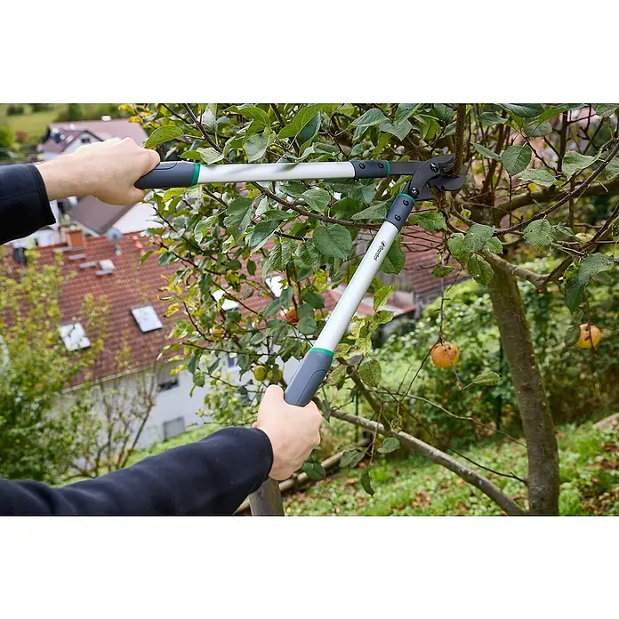Gardol Comfort Getriebe-Astschere GDB42 - Max. Aststärke: 42 mm - Nahaufnahme einer Person, die mit einer Gardol Gartenschere einen Baum beschneidet, wobei die Schere und die Äpfel im Fokus stehen.