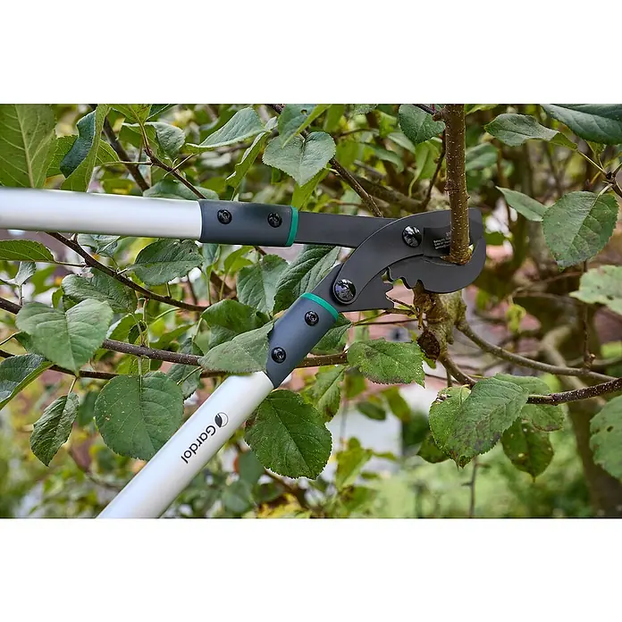 Gardol Comfort Getriebe-Astschere GDB42 - Max. Aststärke: 42 mm - Nahaufnahme einer Astschere von Gardol, die einen Ast in einem Baum schneidet. Das Werkzeug ist silbern und schwarz.