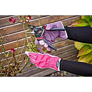 Gardol Premium Gartenschere GDB23 (Bypass, Max. Aststärke: 23 mm, Geeignet für: Rechtshänder)