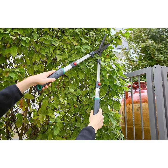 Gardol Premium Hand-Heckenschere GDH655 - Länge: 3,9 cm, Silber, schwarz, grün, rot - Der Bediener verwendet eine Gardena Astschere mit Teleskopstiel zum Beschneiden von Ästen an einem Baum. Das Werkzeug ermöglicht das Arbeiten in der Höhe.