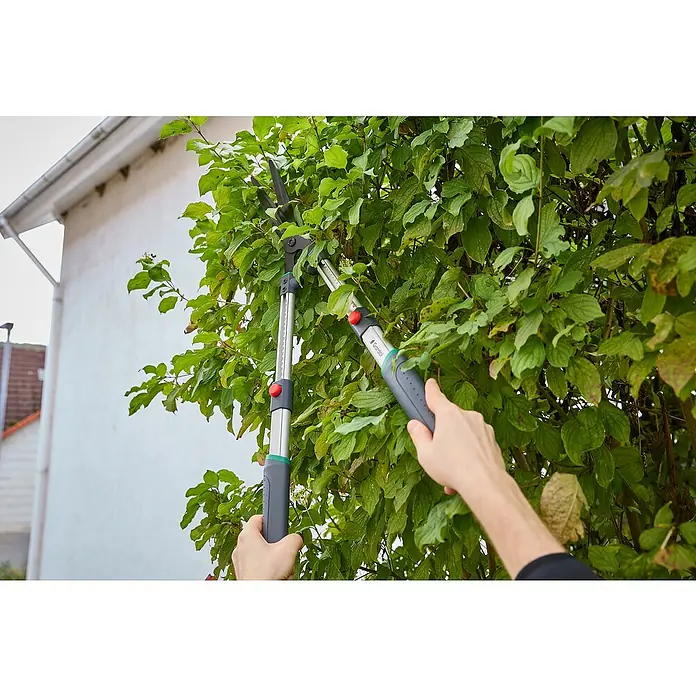 Gardol Premium Hand-Heckenschere GDH655 - Länge: 3,9 cm, Silber, schwarz, grün, rot - Gartenschere im Einsatz: Eine Person schneidet mit einer Gardena Gartenschere eine grüne Hecke im Garten.