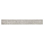 My Home Sockelfliese (7 x 60 cm, Grau, Matt) | BAUHAUS