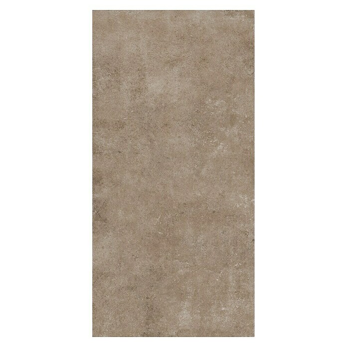 My Home Feinsteinzeugfliese (60 x 120 cm, Taupe, Matt) | BAUHAUS