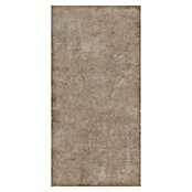 My Home Feinsteinzeugfliese (60 x 120 cm, Taupe, Matt) | BAUHAUS