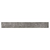 My Home Sockelfliese (7 x 60 cm, Dunkelgrau, Matt) | BAUHAUS