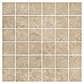 My Home Mosaikfliese (30 x 30 cm, Beige, Matt) | BAUHAUS