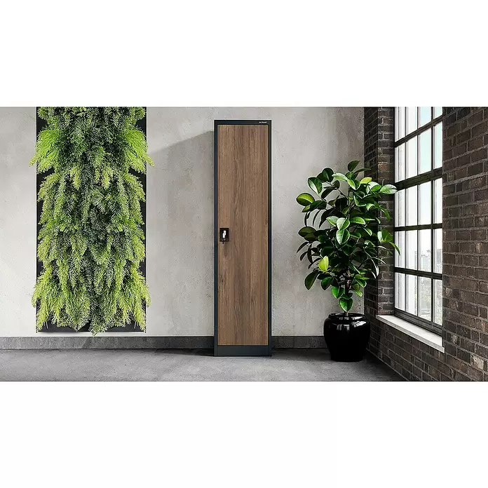 Jan Nowak Aktenschrank Alex - B x T x H: 45 x 40 x 185 cm, Anthrazit/ Nussbaum - Hoher Spind mit Tür in dunkler Holzoptik und schwarzem Rahmen in moderner Innenumgebung mit Pflanzen.