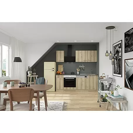 Optifit Livorno290 Singleküche Typ 1