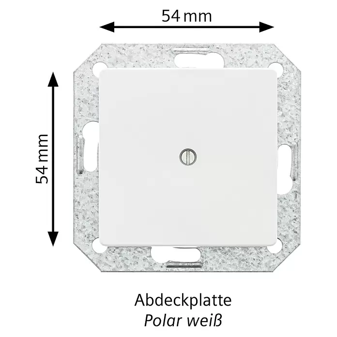 Siemens DELTA Mega Blindabdeckung SIE044127 - Polar Weiß, Glänzend, Kunststoff, Unterputzmontage - Quadratische 54mm Abdeckplatte in Polarweiß mit Metallrahmen und Zentralschraube.