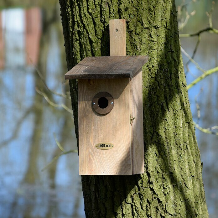 Dobar Nistkasten EinblickNatur/Braun, 17 x 23 x 39 cm Mood Shot