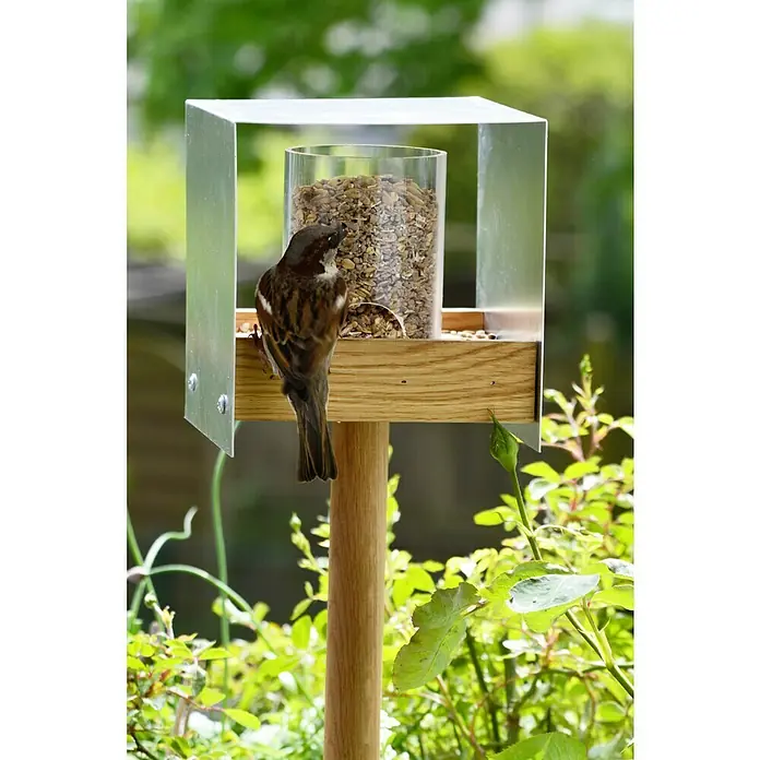 Dobar Vogelhaus BAUHAUS II - 15 x 16 x 161 cm, Natur, Holz - Ein Spatz sitzt auf einem modernen Vogelhaus aus Holz und Metall, das mit Körnern gefüllt ist.