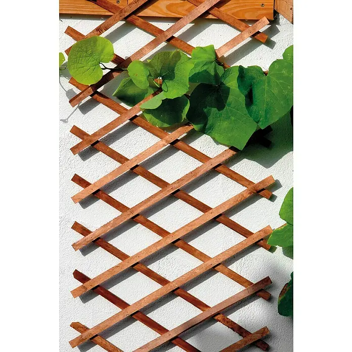 Bellissa Holz-Scherenspalier - 310 x 90 cm, Braun - Holzspalier mit grünen Pflanzen an einer weißen Wand.