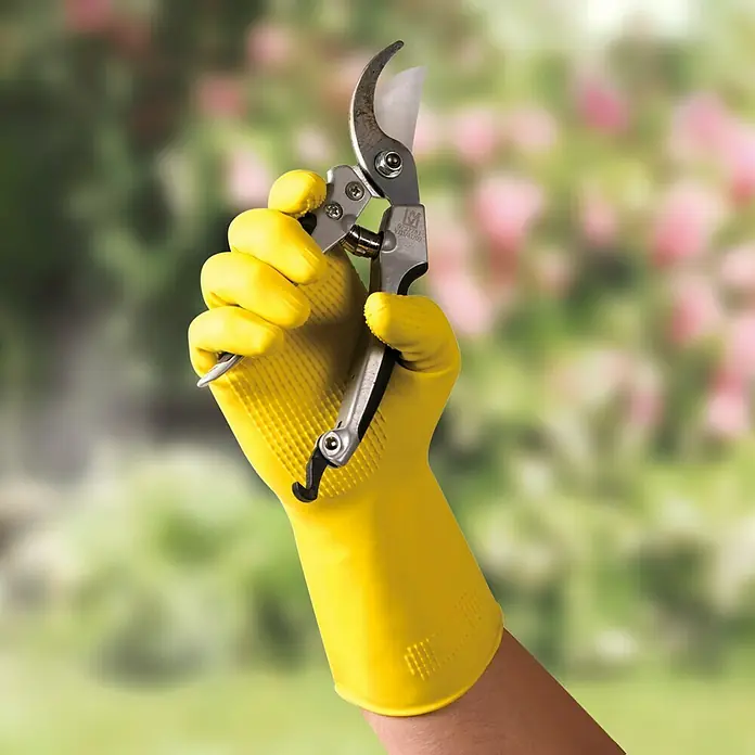Sänger Haushaltshandschuhe Magno Grip - L, Gelb, Latex - Eine Hand mit gelbem Handschuh hält eine Gartenschere vor einem verschwommenen Hintergrund.
