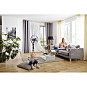 Proklima Standventilator (Silber/Schwarz, Höhe: 148 cm, 55 W)