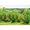Gardol Vogelschutznetz Basic (5 x 2 m)