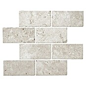 Malla mosaico Travertino rectángulo (30 x 30 cm, Beige, Mate, 8 pzs.) | BAUHAUS