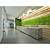 Malla mosaico Bali (29 x 29 cm, Grey, Mate, 8 pzs.) | BAUHAUS