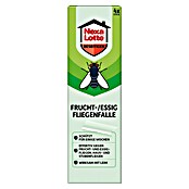 Nexa Lotte Beseitigen Fruchtfliegen-Falle (4 Stk.) | BAUHAUS