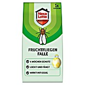 Nexa Lotte Beseitigen Fruchtfliegen-Falle (1 Stk.) | BAUHAUS