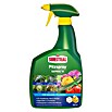Substral Pilzfrei Saprol® N (800 ml) | BAUHAUS