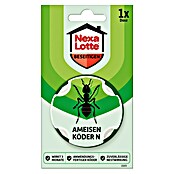 Nexa Lotte Beseitigen Ameisenköder N (1 Stk.) | BAUHAUS