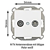 Siemens DELTA Mega Antennendose SIE044097 (Polar Weiß, Glänzend, Kunststoff, Unterputzmontage) | BAUHAUS