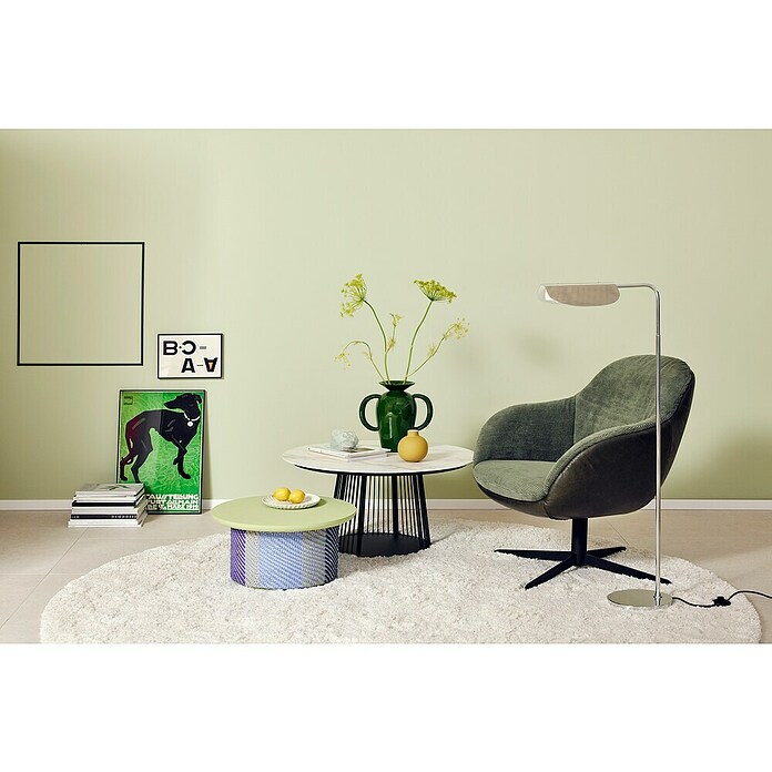 SCHÖNER WOHNEN-Farbe Wandfarbe Trendfarbe Jubiläumsedition (Pistacchio, Matt, 2,5 l, Konservierungsmittelfrei) | BAUHAUS