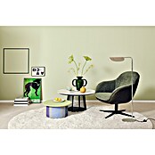 SCHÖNER WOHNEN-Farbe Wandfarbe Trendfarbe Jubiläumsedition (Pistacchio, Matt, 2,5 l, Konservierungsmittelfrei) | BAUHAUS