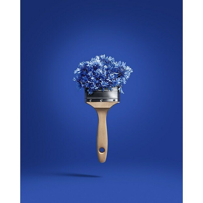 SCHÖNER WOHNEN-Farbe Wandfarbe Trendfarbe Jubiläumsedition (Cornflower, Matt, 2,5 l, Konservierungsmittelfrei) | BAUHAUS