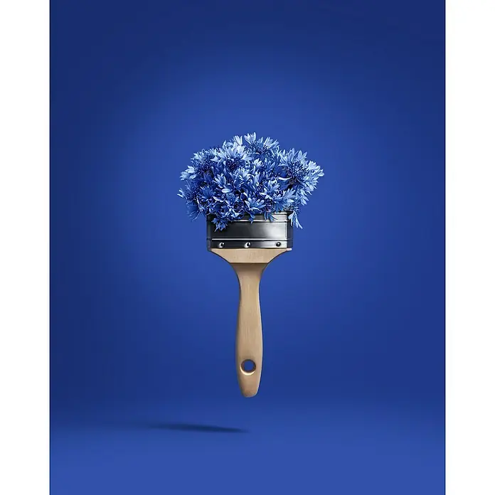 SCHÖNER WOHNEN-Farbe Wandfarbe Trendfarbe Jubiläumsedition - Cornflower, Matt, 2,5 l, Konservierungsmittelfrei - Farbpinsel mit blauen Kornblumen. Einzigartige Dekoration oder künstlerisches Konzept, das Natur und Malerei verbindet.