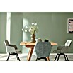 SCHÖNER WOHNEN-Farbe Wandfarbe Trendfarbe (Olive, Matt, 2,5 l, Konservierungsmittelfrei) | BAUHAUS