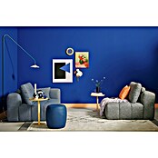 SCHÖNER WOHNEN-Farbe Wandfarbe Trendfarbe Jubiläumsedition (Cornflower, Matt, 2,5 l, Konservierungsmittelfrei) | BAUHAUS