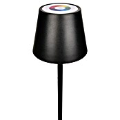 Starlux Paola Akku-Stehleuchte Paola (Schwarz, RGBW, 3 W, IP44) | BAUHAUS