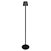 Starlux Paola Akku-Stehleuchte Paola (Schwarz, RGBW, 3 W, IP44) | BAUHAUS