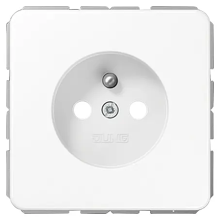 Jung CD 500 Steckdose CD 1520 FKI WW