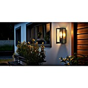 Garza Aplique solar para exterior Becquer (L x An x Al: 12 x 15 x 25 cm, Negro, IP44, 400 lm) | BAUHAUS