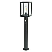 Garza Poste solar LED Becquer (14 x 15 x 80 cm, Negro) | BAUHAUS