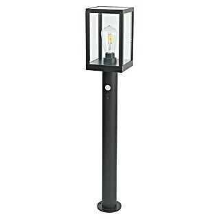 Garza Poste solar LED Becquer (14 x 15 x 80 cm, Negro)