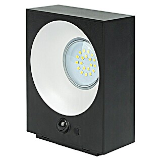 Garza Aplique solar LED para exterior Onix (Sensor crepuscular, Copolímero de nitrilo acrílico, butadieno y estireno (ABS), Blanco neutro, Negro)