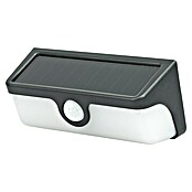 Garza Aplique solar para exterior Andros (L x An x Al: 16,8 x 7,5 x 6,1 cm, Negro, IP54, 600 lm) | BAUHAUS