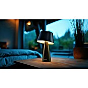 Garza Lámpara decorativa solar Momo (L x An x Al: 13,2 x 13,2 x 21,8 cm, Negro, IP44) | BAUHAUS