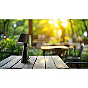 Garza Lámpara decorativa solar Momo (L x An x Al: 13,2 x 13,2 x 21,8 cm, Negro, IP44) | BAUHAUS