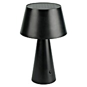 Garza Lámpara decorativa solar Momo (L x An x Al: 13,2 x 13,2 x 21,8 cm, Negro, IP44) | BAUHAUS