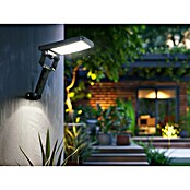 Garza Aplique solar para exterior Carvalho (L x An x Al: 33 x 11 x 4,3 cm, Negro, 500 lm) | BAUHAUS
