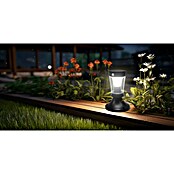 Garza Hércules Sobremuro solar LED (L x An x Al: 18 x 18 x 26,9 cm, Negro, IP54, 450 lm) | BAUHAUS